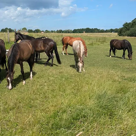 Ferien Auf Der Insel Poel Kirchdorf (Poel)