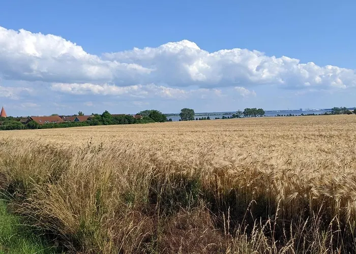 아파트 Ferien Auf Der Insel Poel Kirchdorf (Poel)