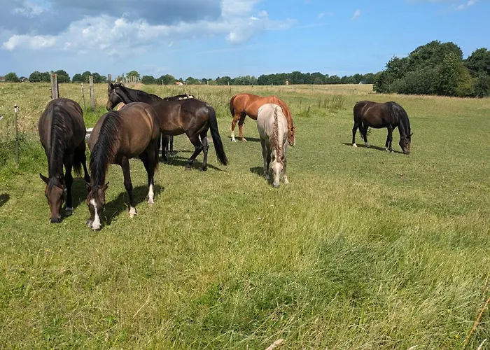 Ferien Auf Der Insel Poel Kirchdorf (Poel)